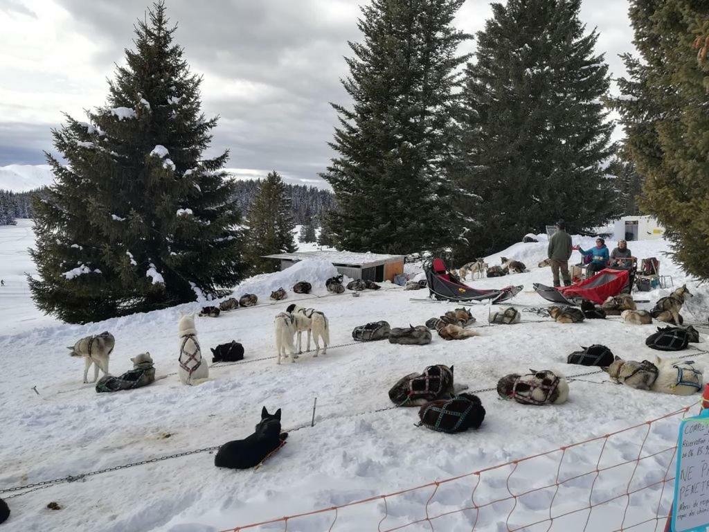 Chamrousse 1750 - Le Taillefer - Appartement Classe 3 Etoiles Kültér fotó